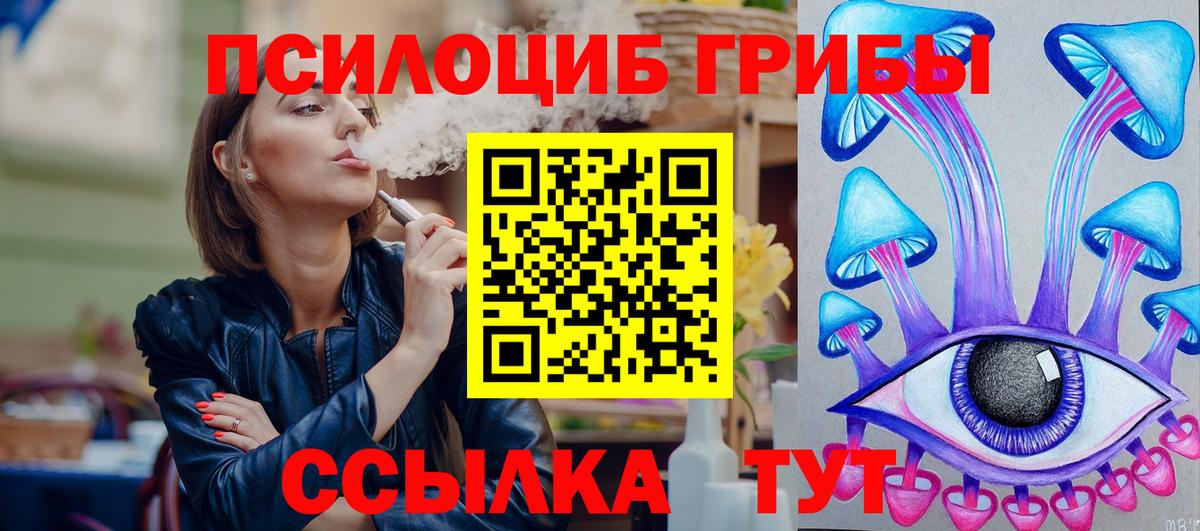 Гудермес  Псилоцибиновые грибы Magic Shrooms  даркнет сайт  Вход с VPN 